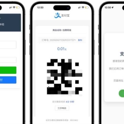 自适应聚合收款单页源码全开源